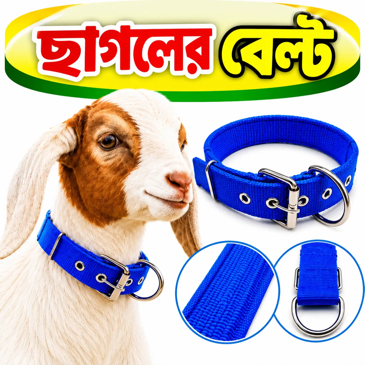 ৬৭ সেমি ছাগলের নীল গলার বেল্ট | 67cm Blue Goat Neck Belt