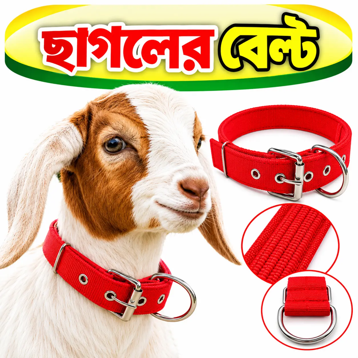 ৬৭ সেমি ছাগলের লাল গলার বেল্ট | 67cm Red Goat Neck Belt