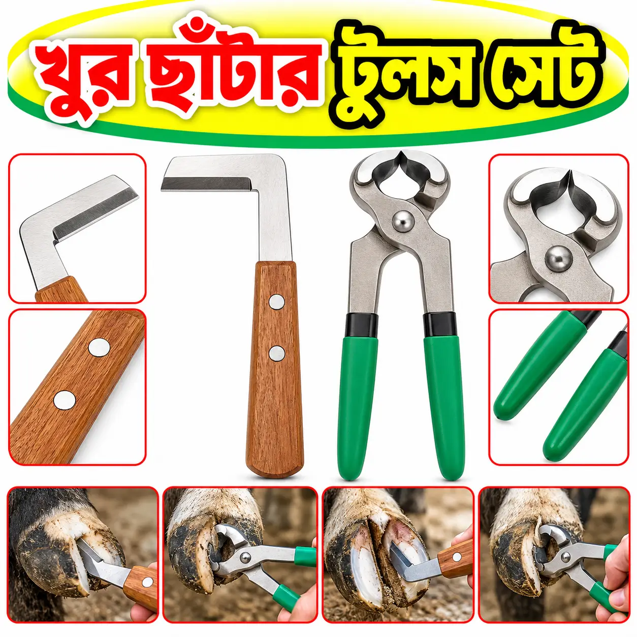 গরু, ছাগল, ভেড়া ও মহিষের খুর কাটার টুল সেট | Hoof Trimming Tool Set 2 Pcs