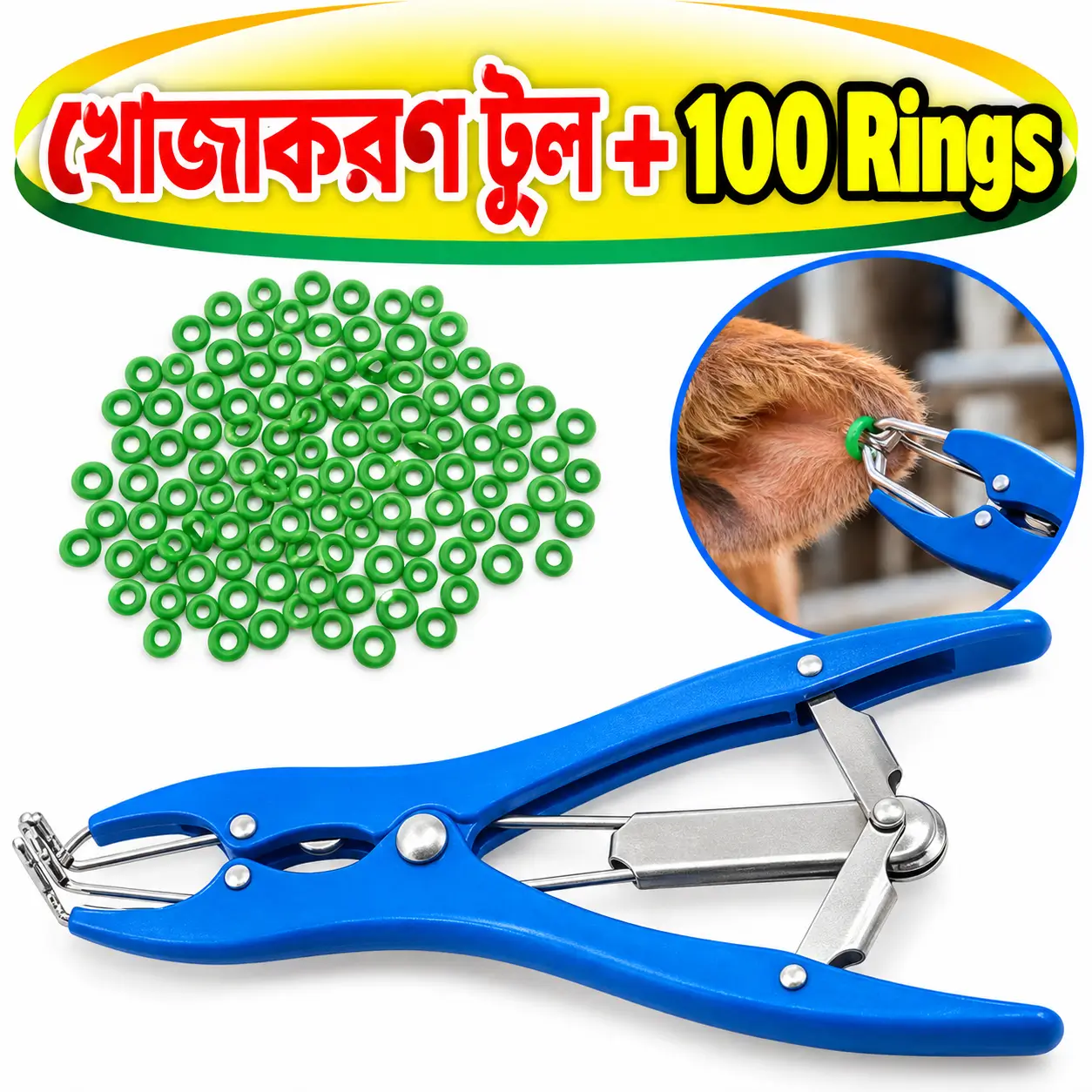 Burdizzo Castrator | রক্তবিহীন খাসি করার ভেটেরিনারি যন্ত্র