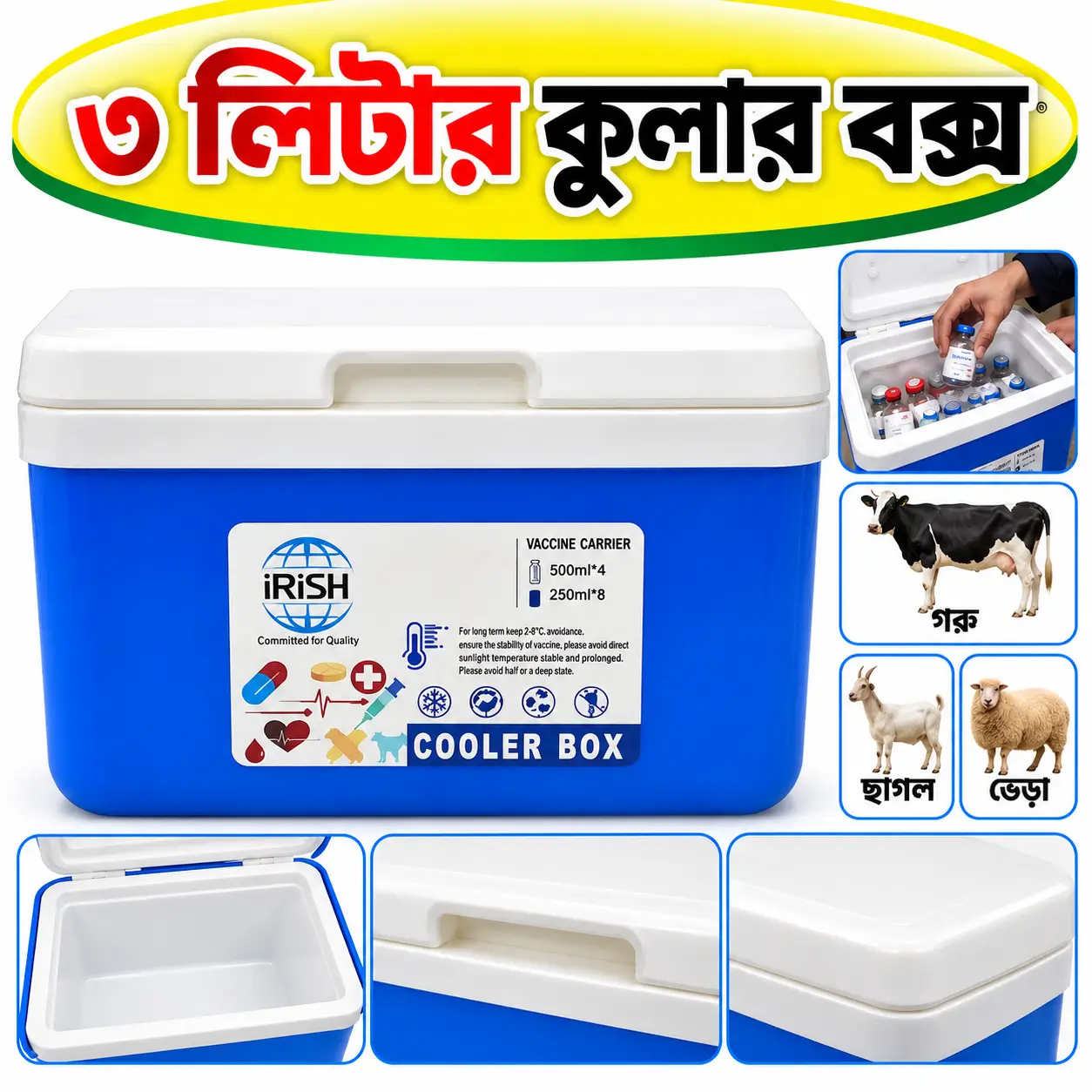 3L Ice Cooler Box | ৩ লিটার আইস কুলার বক্স
