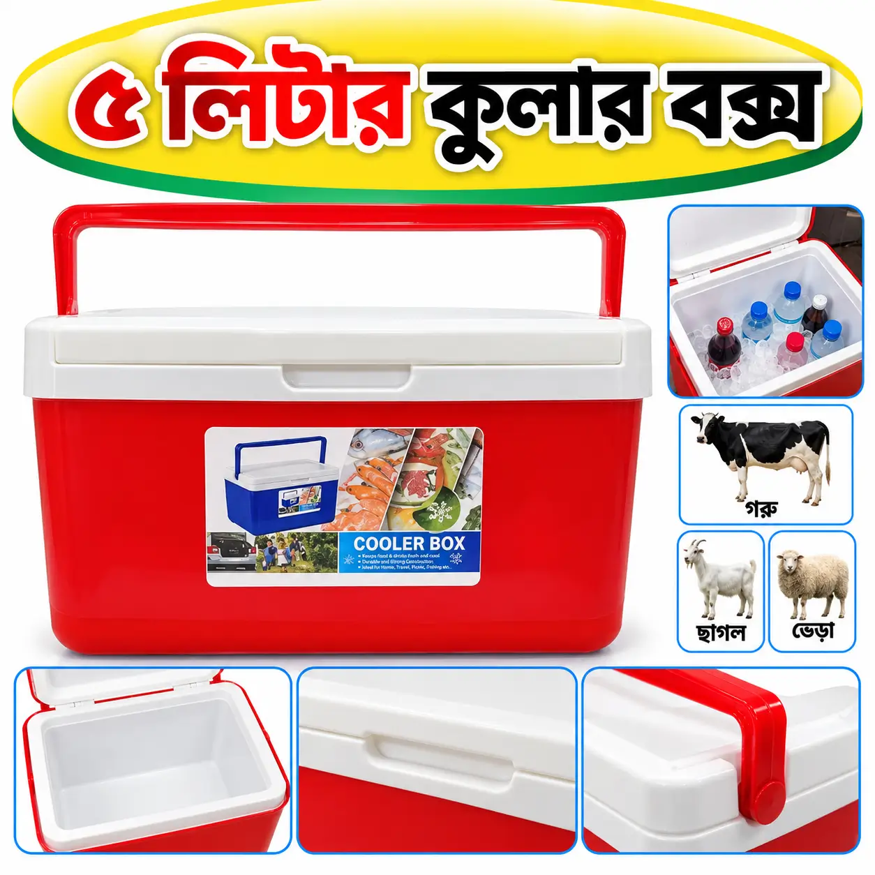 5L Insulated Ice Storage Box | ৫ লিটার ঠান্ডা সংরক্ষণ কুলার বক্স