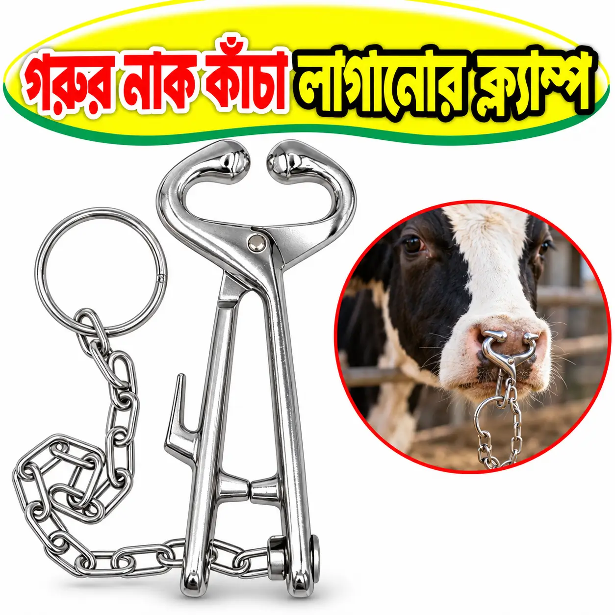 Chain-Linked Cattle Nose Control Forceps | চেইনযুক্ত গরু নিয়ন্ত্রণের নোজ ফোর্সেপ