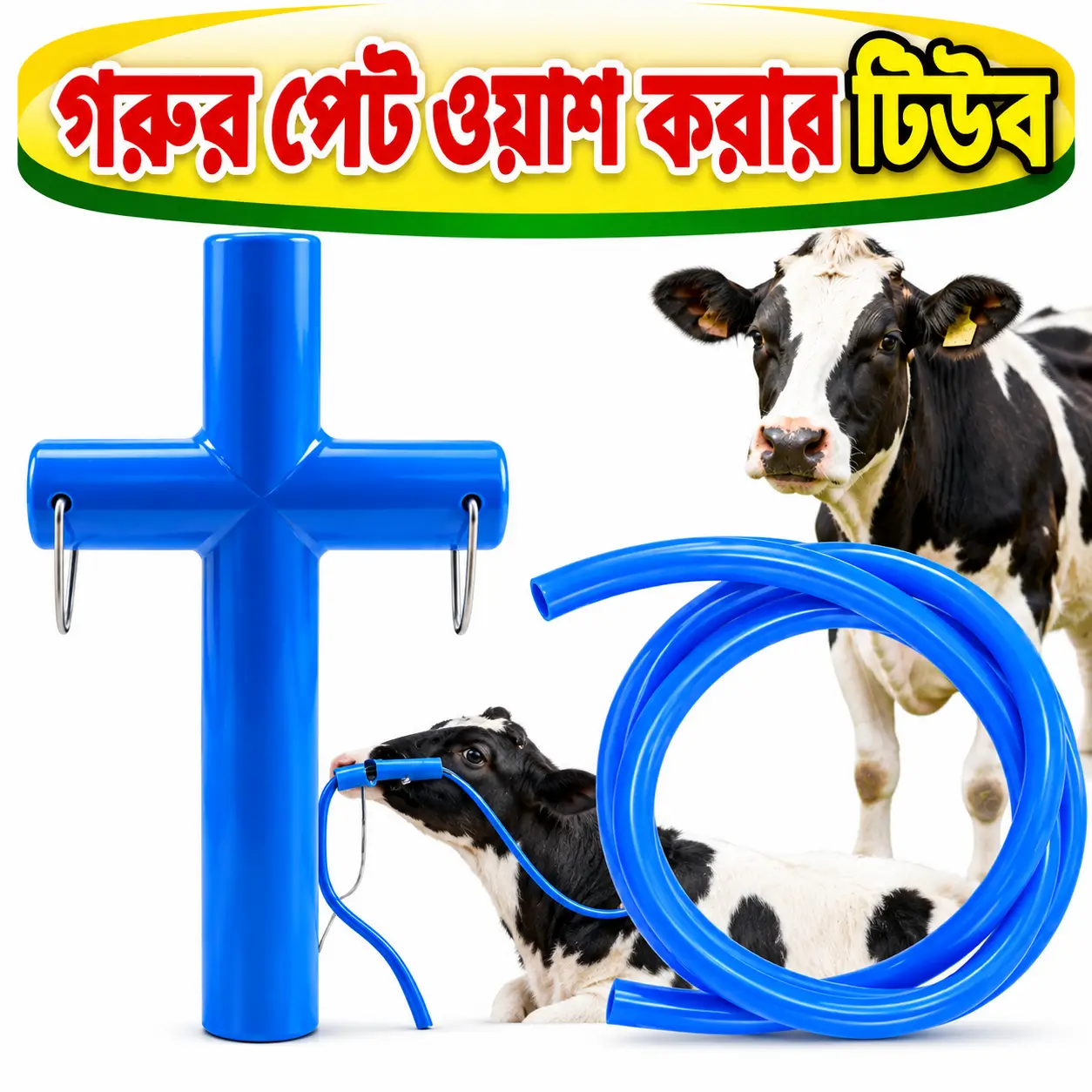 Veterinary Stomach Tube for Cattle | গরুর পাকস্থলীতে টিউব ব্যবহারের ভেটেরিনারি সরঞ্জাম