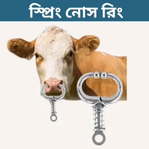 প্রিমিয়াম স্প্রিং নোস রিং - গবাদি পশুর নিরাপদ নিয়ন্ত্রণের জন্য স্টেইনলেস স্টিল বুল রিং
