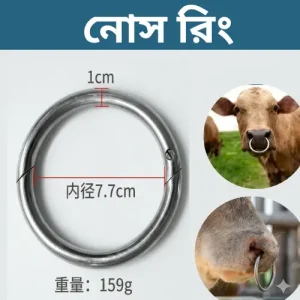 প্রিমিয়াম স্টেইনলেস স্টিল বুল নোস রিং - গবাদি পশুর নিরাপদ নিয়ন্ত্রণের জন্য মজবুত নাকের রিং